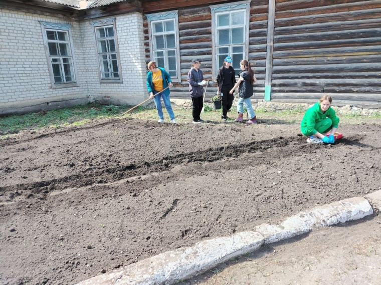 Акция "Цветущая школа"..